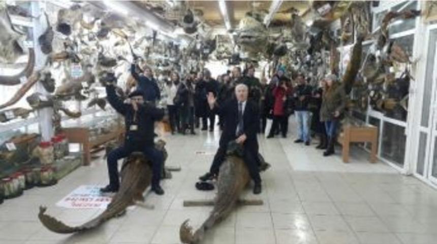 Fotoğraf&ccedil;ılar Derinlerdeki Deniz Canlılarını Karada G&ouml;r&uuml;nt&uuml;ledi