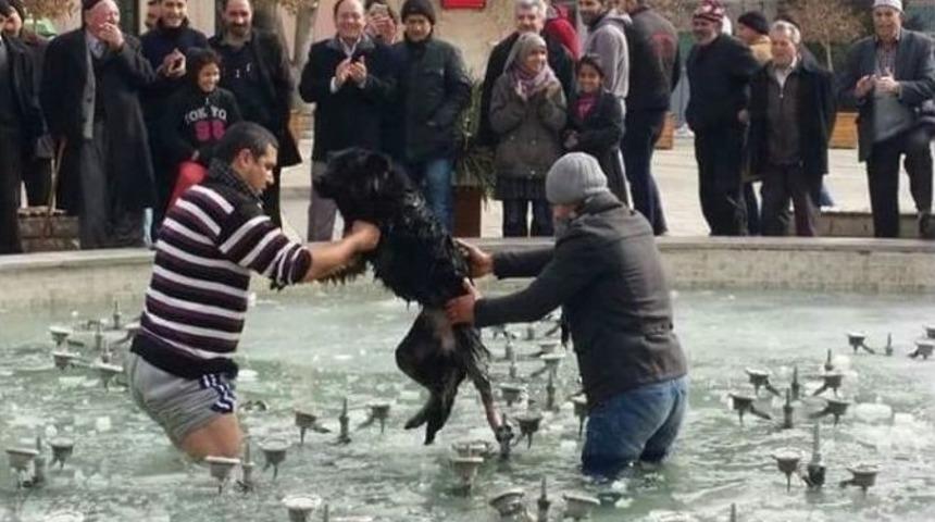 Buzda Sıkışan K&ouml;peği Vatandaşlar Kurtardı