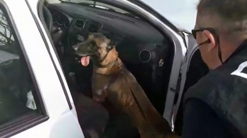 Oscar, Milas&rsquo;ta Uyuşturucuya Ge&ccedil;it Vermedi