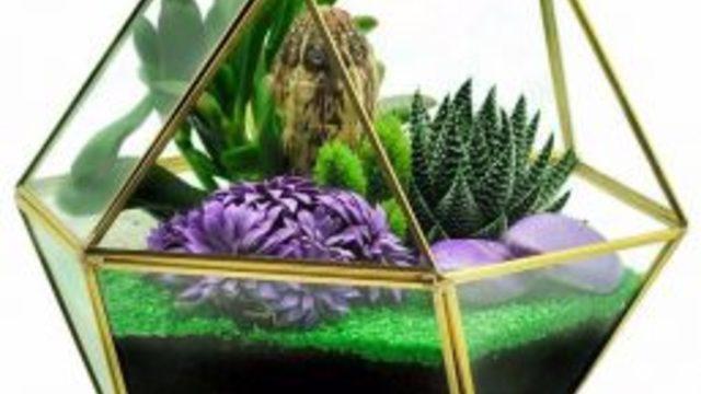 Kurt: “çiçek Sepeti’nin Minyatür Bahçeleri Yoğun İlgi Görüyor”