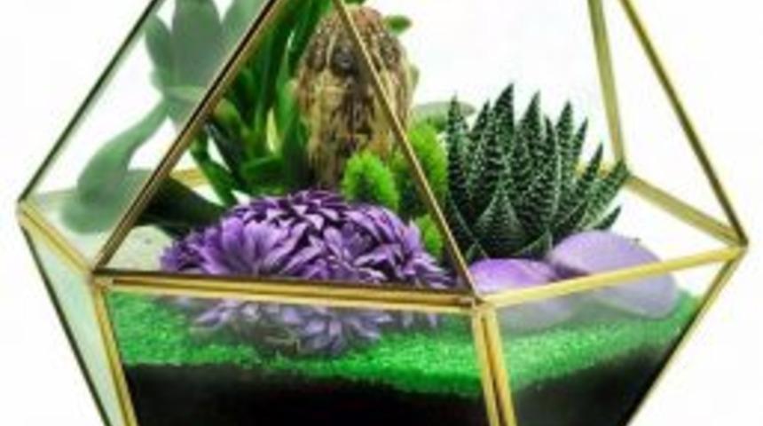 Kurt: &ldquo;&ccedil;i&ccedil;ek Sepeti&rsquo;nin Minyat&uuml;r Bah&ccedil;eleri Yoğun İlgi G&ouml;r&uuml;yor&rdquo;