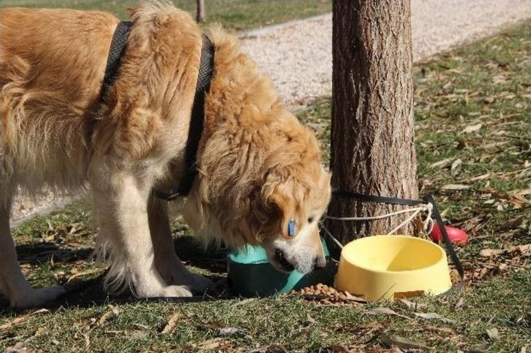 (&ouml;zel Haber) Dostluklar Parayla Satın Alınmaz