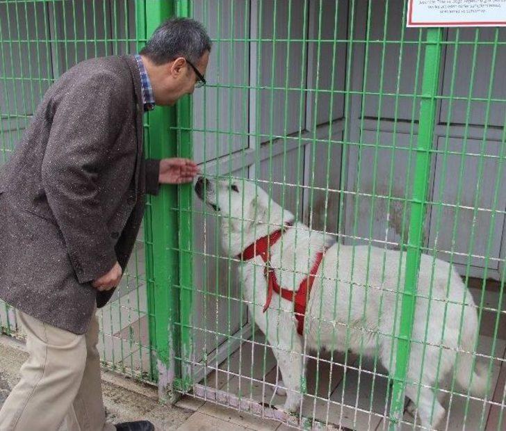 (özel Haber) Dostluklar Parayla Satın Alınmaz G1