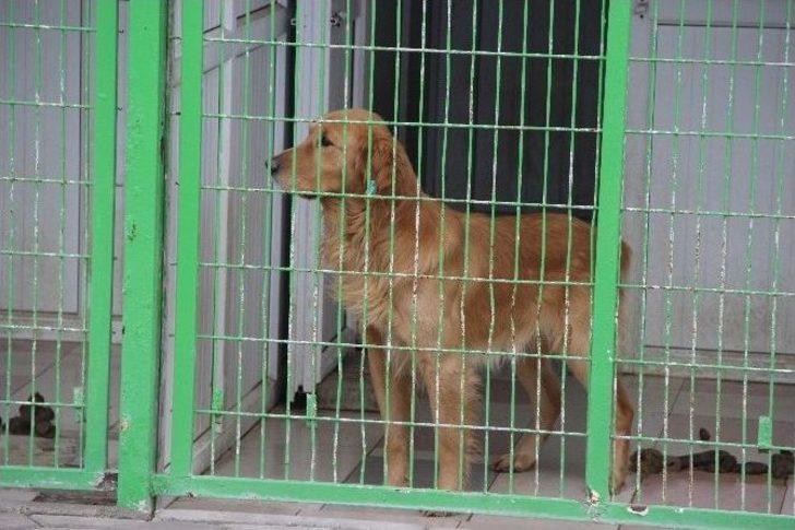 (özel Haber) Dostluklar Parayla Satın Alınmaz G2