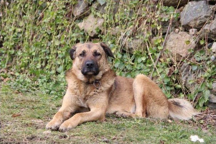 (özel Haber) Dostluklar Parayla Satın Alınmaz G4