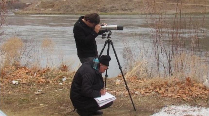 Elazığ&rsquo;da 32 T&uuml;rden 60 Bin Kuş Sayıldı