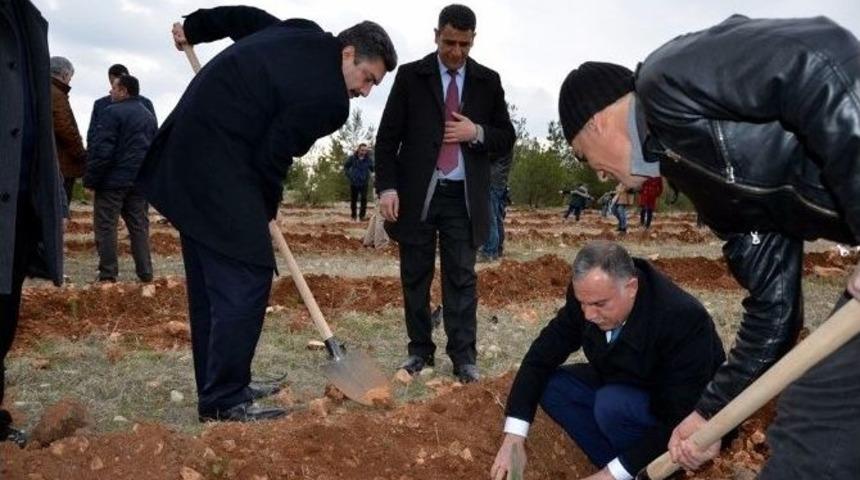 Osmanbey Yerleşkesinde Bin Fidan Toprakla Buluştu