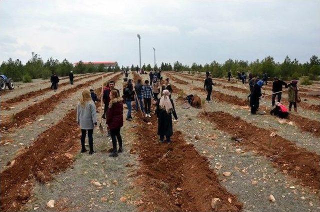 Osmanbey Yerleşkesinde Bin Fidan Toprakla Buluştu