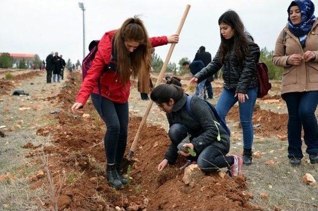 Osmanbey Yerleşkesinde Bin Fidan Toprakla Buluştu