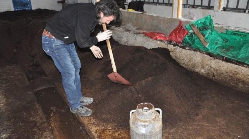 İnternetten G&ouml;rd&uuml;ğ&uuml; Haberden Etkilenerek, Solucan G&uuml;bresi &Uuml;retim Tesisi Kurdu