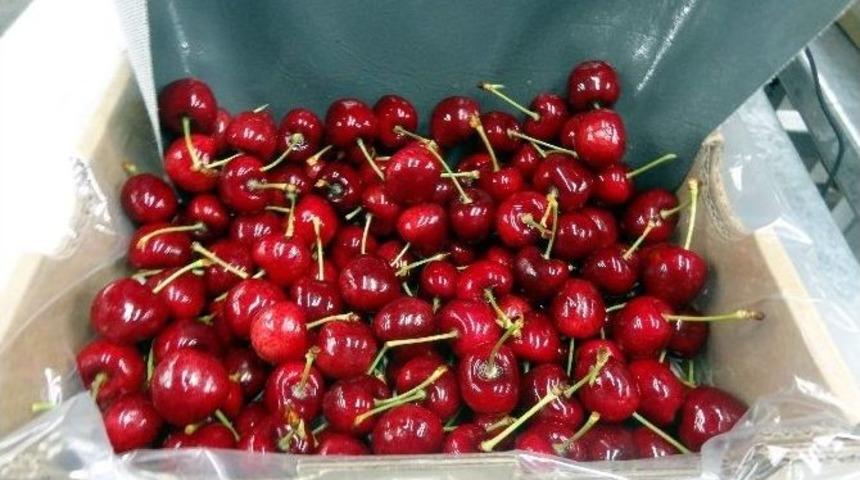 T&uuml;rk Meyveleri D&uuml;nya Sofralarını S&uuml;sleyecek