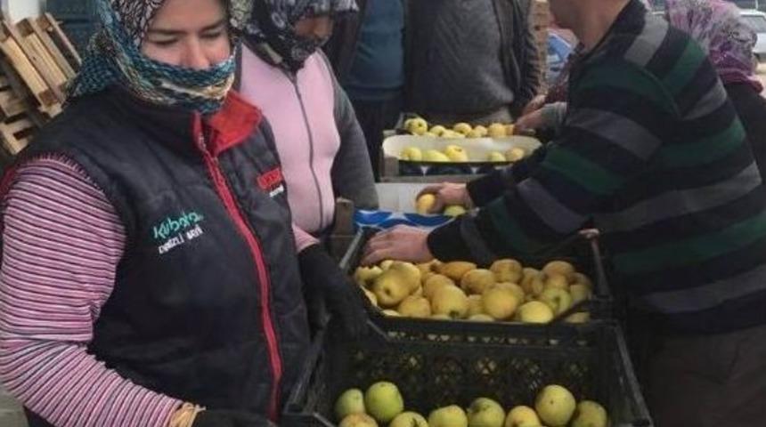 Denizli&rsquo;den Irak&rsquo;a 40 Ton Elma İhra&ccedil; Edildi