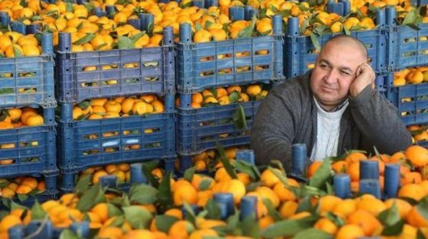 50 Milyon Ton Sebze Ve Meyvenin Yüzde 25'si Çöpe Gidiyor