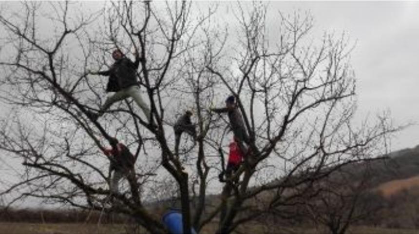 Apartman Değil Ağa&ccedil;