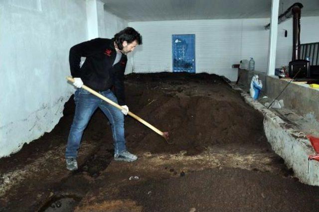 Sorgun da Solucan G&uuml;bresi &Uuml;retim Tesisi Kurdu 2