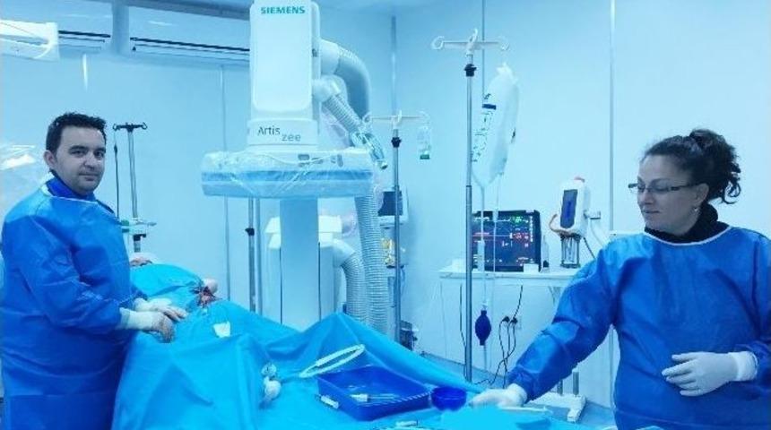 Balkanların Sağlık &Uuml;ss&uuml;nde Tıkalı Bacak Damarı Anjio İle A&ccedil;ıldı