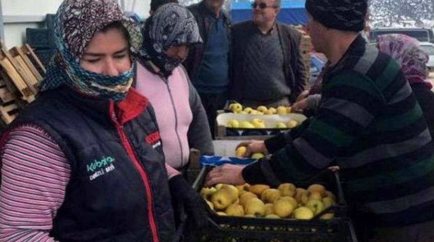 &Ccedil;ameli Elmasının Yeni Pazarı Irak