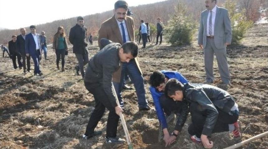 G&ouml;lbaşı Metem Hatıra Ormanına 2 Bin Fidan Dikildi