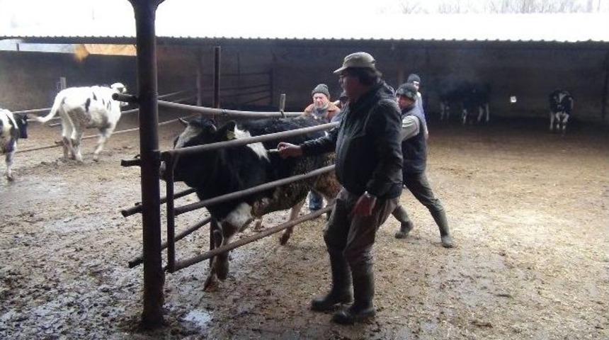 İneg&ouml;l&rsquo;de Karantina Bitiyor