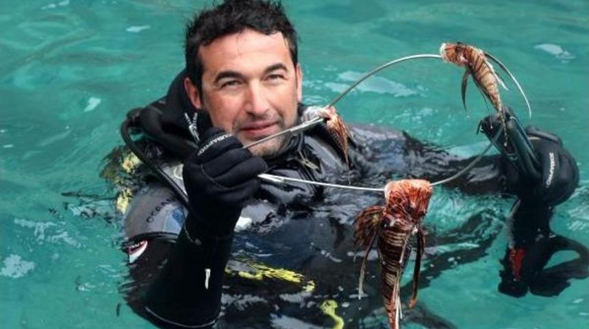 Zehirli Aslan Balığı Kemer'e Yerleşip &Uuml;remeye Başlamış