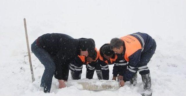 Hakkari’de İçme Suyu Sıkıntısı