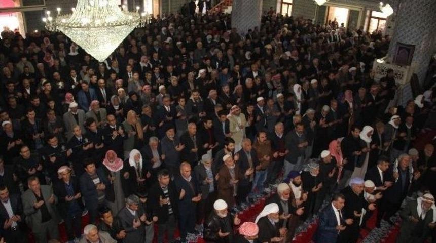 Şehitler İ&ccedil;in Okutulan Mevlide Binlerce Kişi Katıldı