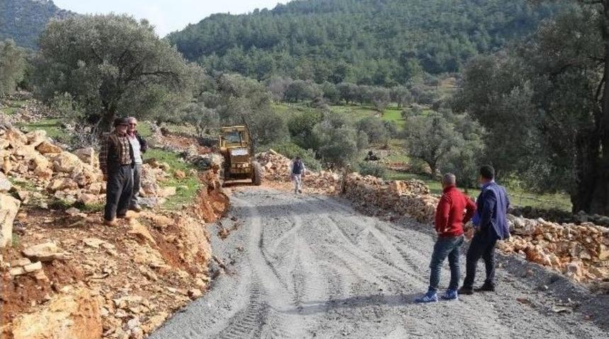 Bodrum&rsquo;da &Ccedil;alışmalar Mazı&rsquo;da Devam Ediyor