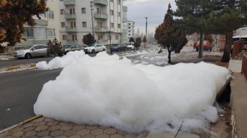 Niğde'de Esrarengiz K&ouml;p&uuml;ğ&uuml;n Sırrı &Ccedil;&ouml;z&uuml;ld&uuml;