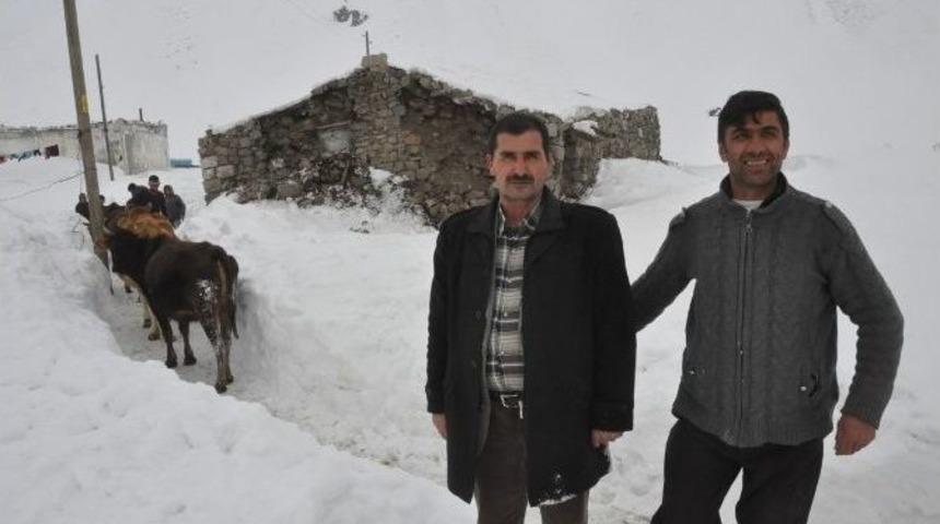 Ağrı’da 4.5 Büyüklüğündeki Deprem Hasara Yol Açtı