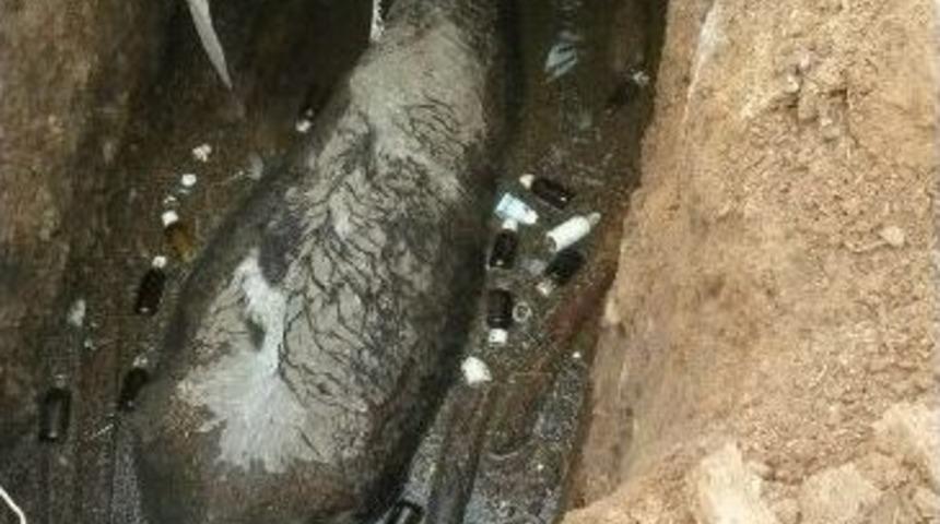 &Ccedil;ukura D&uuml;şen İneği İtfaiye Kurtardı