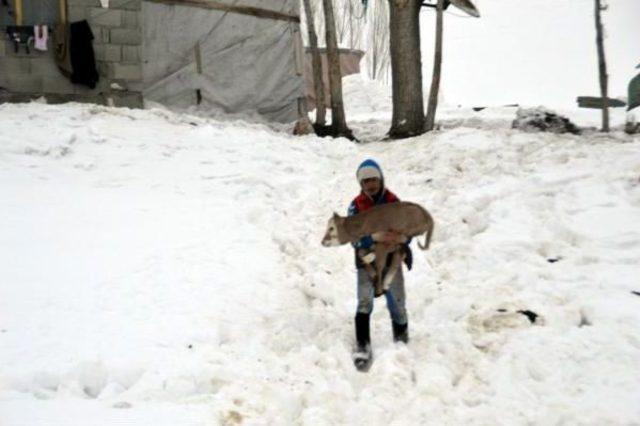 Eleşkirt'te 4.5 Büyüklüğünde Deprem Korkuttu (2)