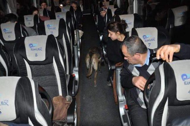 Mardin Ve Elazığ da Asayiş Uygulaması 2