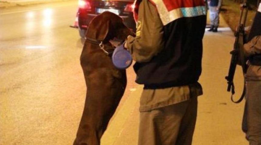 Kocaeli'de Huzur Operasyonu