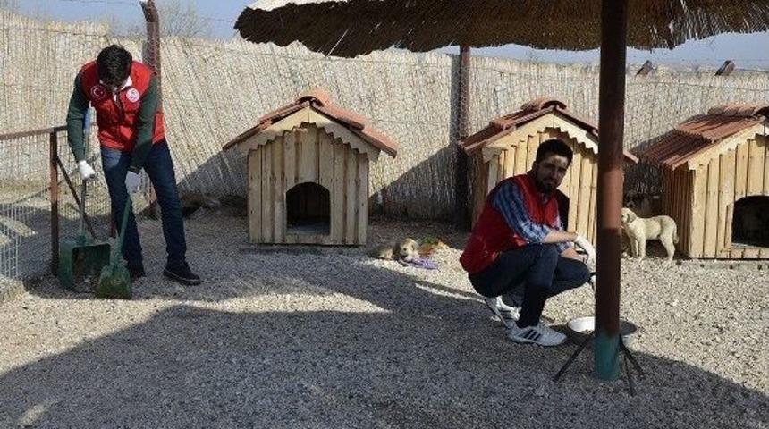 Gen&ccedil;lik Merkezleri Hayvan Barınağını Ziyaret Etti