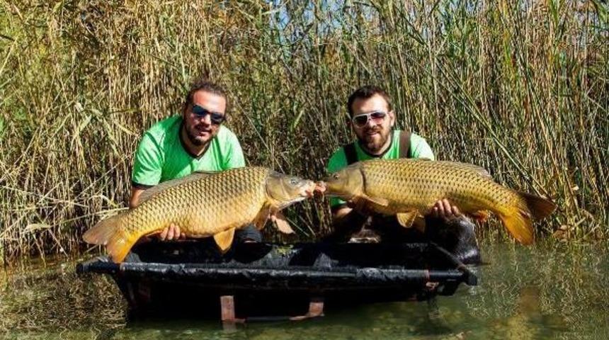 Koca Koca  Balıkları Tutup Tekrar G&ouml;le Bırakıyorlar