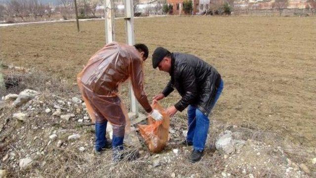 Tilkiyi Öldürüp Iple Direğe Astılar 2