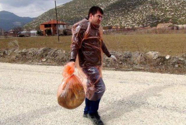 Tilkiyi Öldürüp Iple Direğe Astılar 3