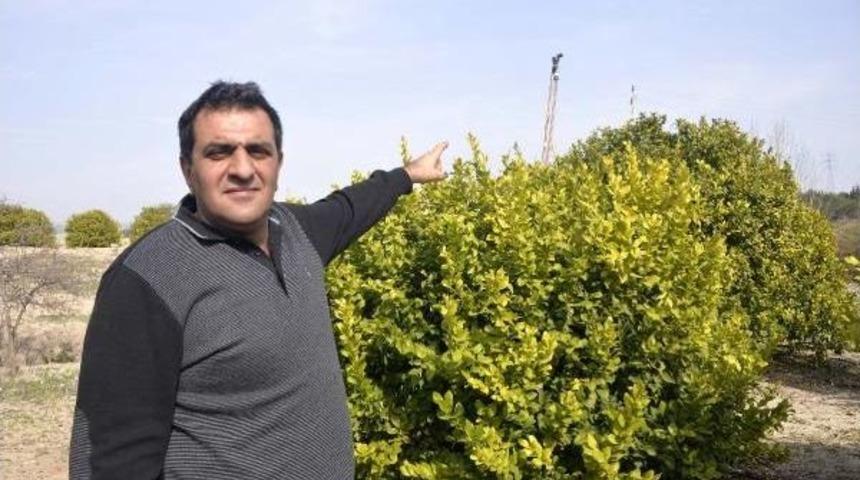 Yapay Zekayla Ila&ccedil;lama, Toprak Analizi Ve Sulama Yapılabilecek