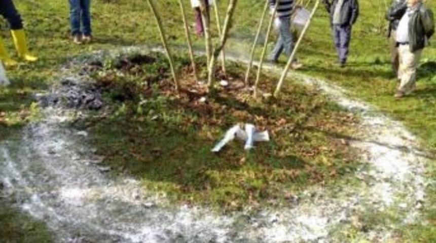 Fındıkta Azot G&uuml;bre D&ouml;nemi