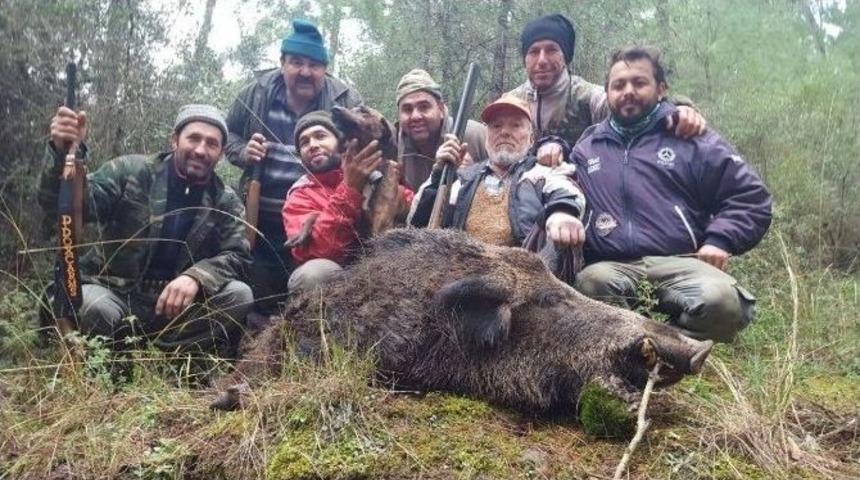 Marmaris&rsquo;te Domuz S&uuml;rek Avı Başlatıldı