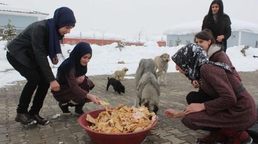 &Ouml;ğrencilerden &Ouml;rnek Davranış