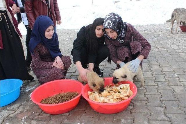 Öğrencilerden Örnek Davranış