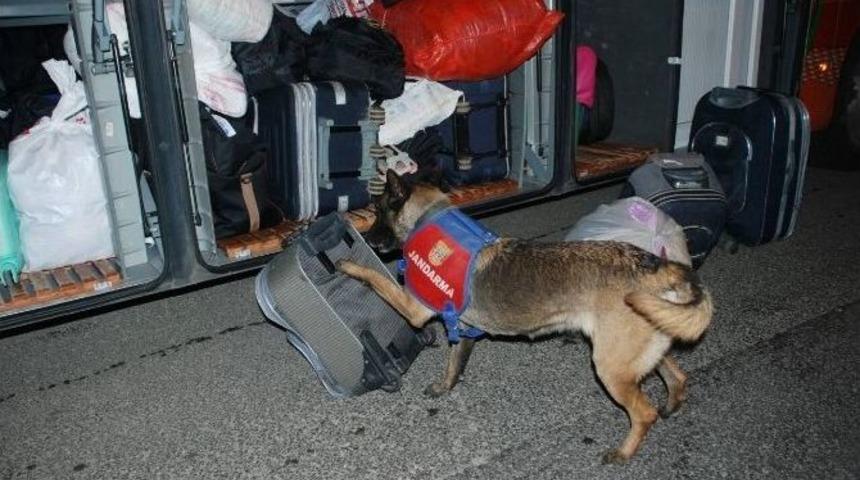 Elazığ&rsquo;da Jandarmanın Uygulamasında Uyuşturucu Madde Ele Ge&ccedil;irildi