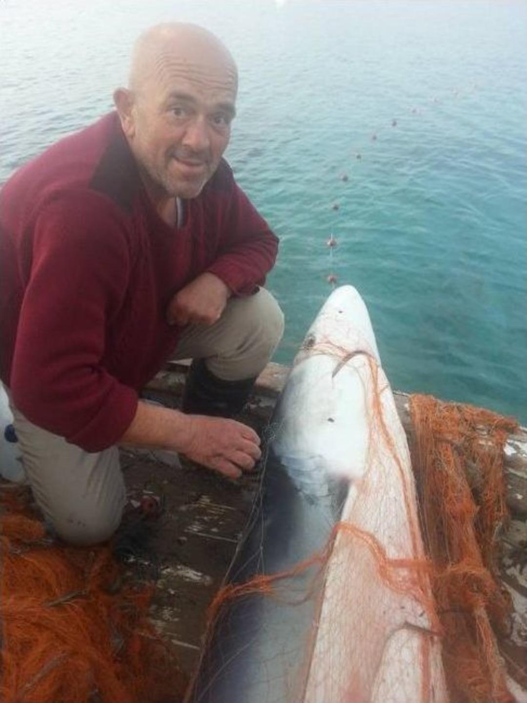 Bodrum&rsquo;da Balık&ccedil;ıların Ağına K&ouml;pek Balığı Takıldı