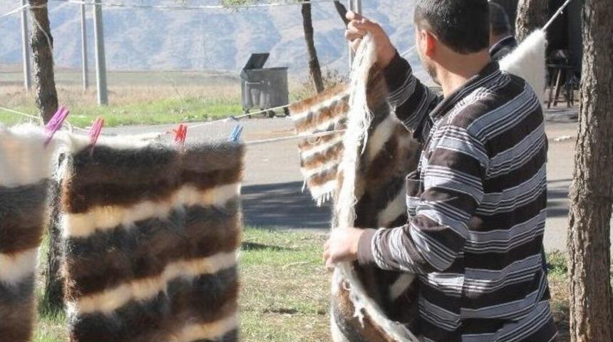 Battaniye Dokumacılığı Canlandırılıyor