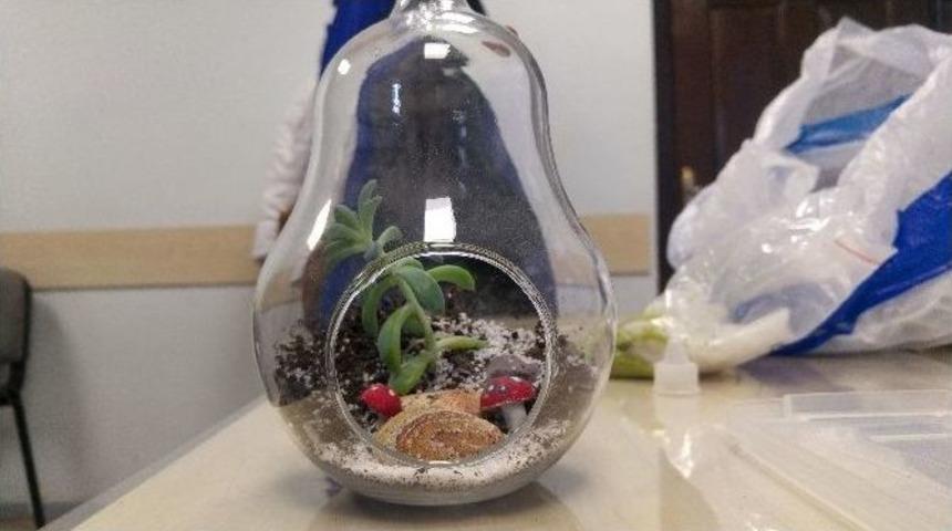 Zeytinburnu Tıbbi Bitkiler Bah&ccedil;esi&rsquo;nde Teraryum Eğitimi