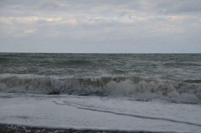 Karadeniz Balıkçıyı Vermiyor