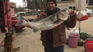 11 Kiloluk Levrek Görenleri Şaşırttı