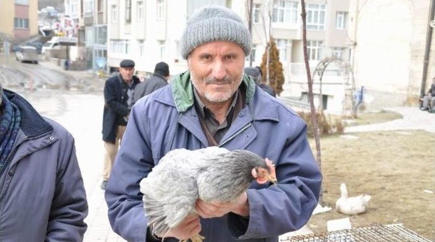 Vatandaşlardan K&ouml;y Tavuğuna B&uuml;y&uuml;k İlgi