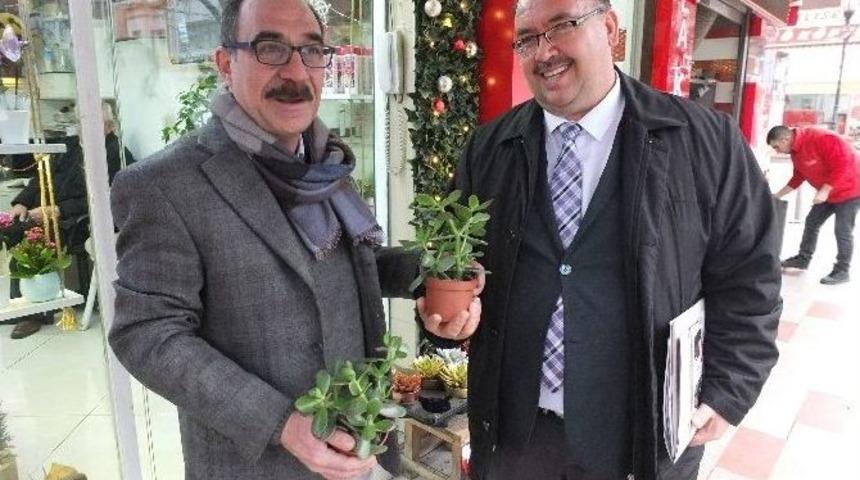 "para Ağacı"na B&uuml;y&uuml;k İlgi